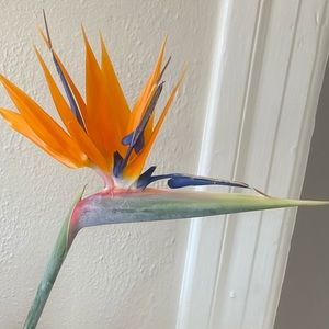 Meet your Posher, Connor